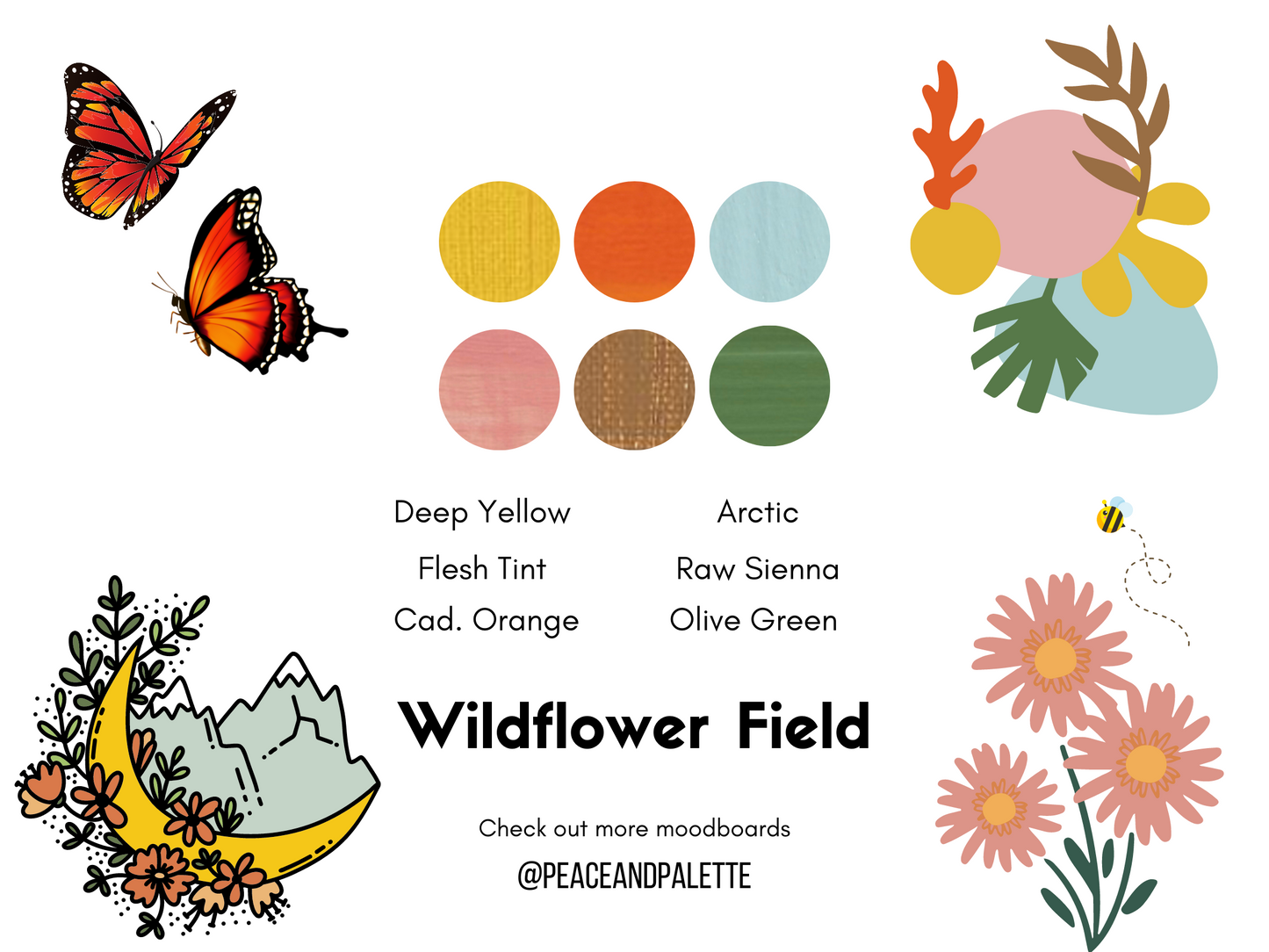 Wildflower Field collection: 6-color DIY Paint Kit